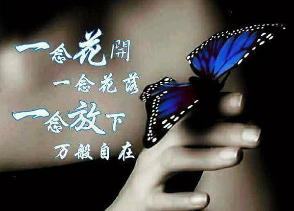 一念花開.jpg 一念花開.jpg