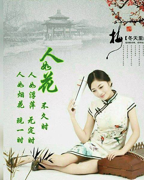 人如花.jpg 人如花.jpg
