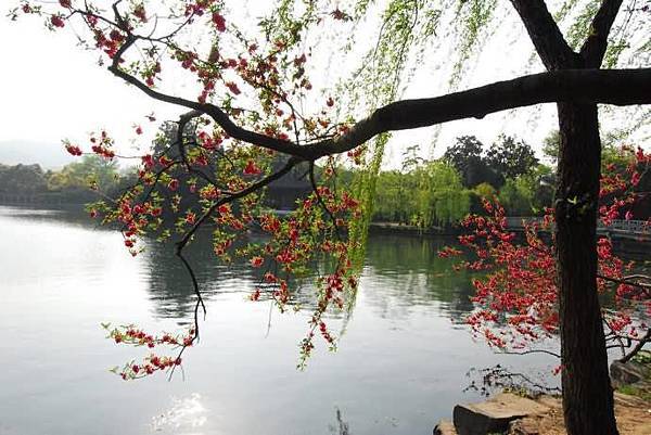 春意西湖-1-.jpg 春意西湖-1-.jpg