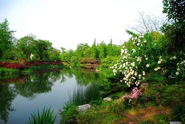 春意西湖-4-.jpg 春意西湖-4-.jpg