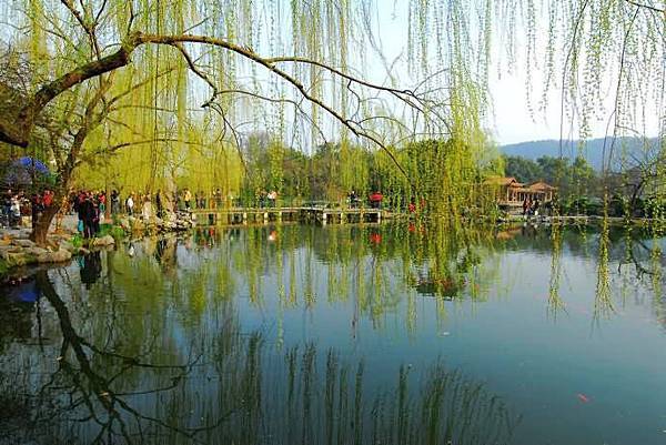 春意西湖-8-.jpg 春意西湖-8-.jpg
