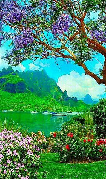 欣赏美景-11-.jpg 欣赏美景-11-.jpg
