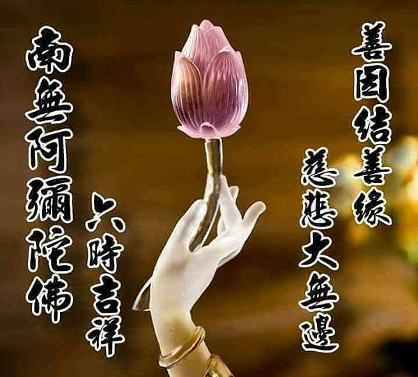 善因結善緣.jpg 善因結善緣.jpg