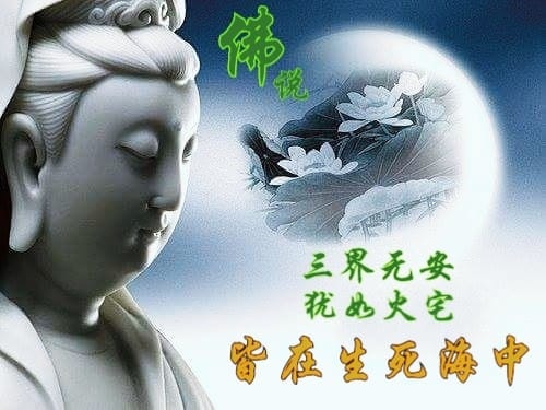 佛悅.jpg 佛悅.jpg