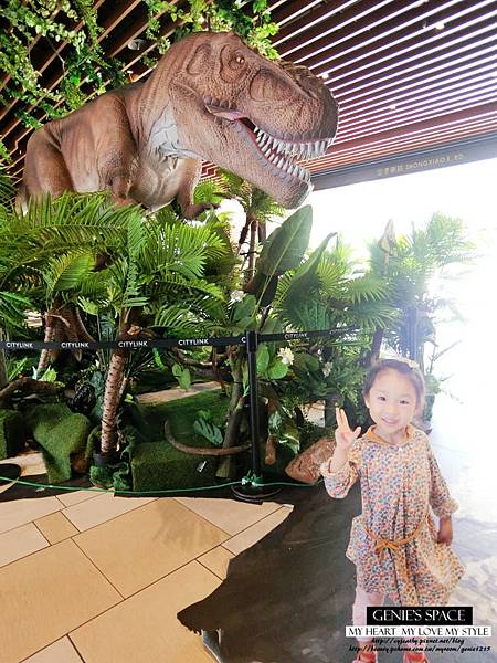 CIMG0976.jpg CIMG0976.jpg