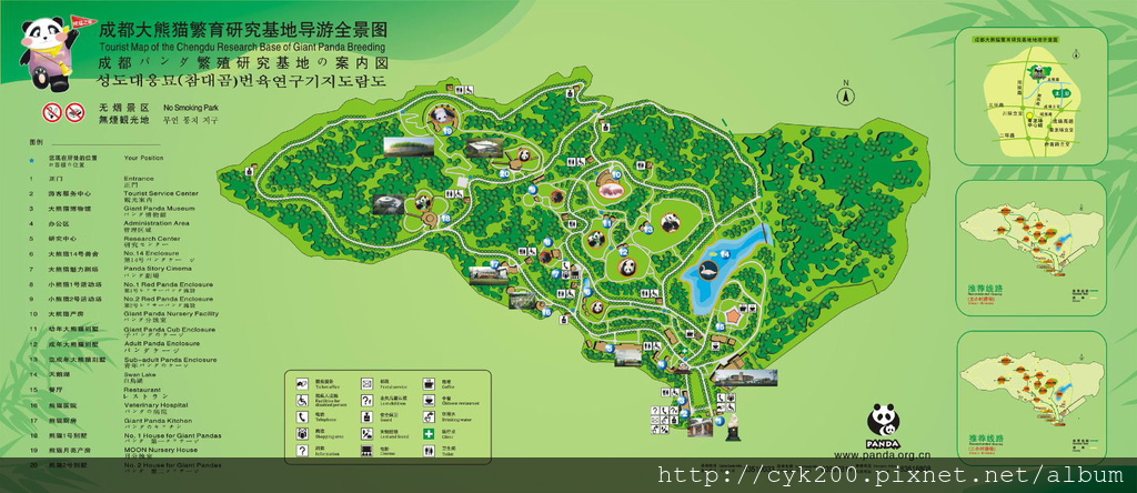 成都熊貓基地 成都熊貓基地