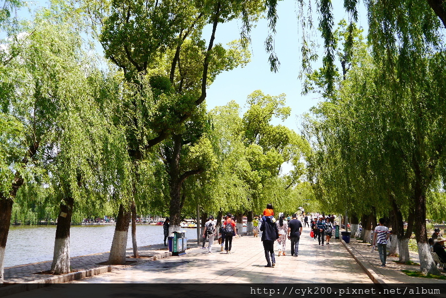 '17 04 30 _08 昆明 翠湖公園