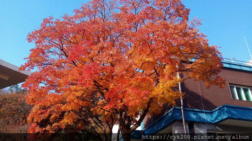 '19 11 22 _14 顯忠院.jpg