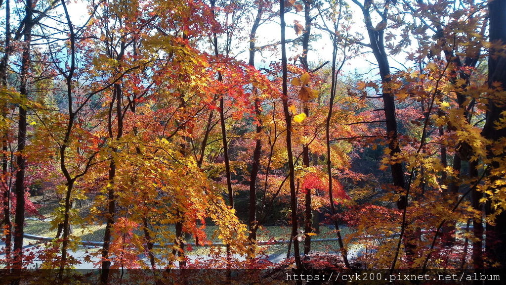 '19 11 22 _08 顯忠院.jpg