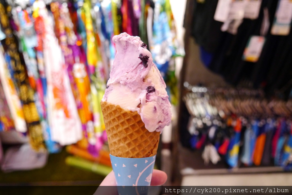 '20 11 07 _124 墾丁大街 法式冰淇淋-藍莓優格甜筒 NT90.JPG