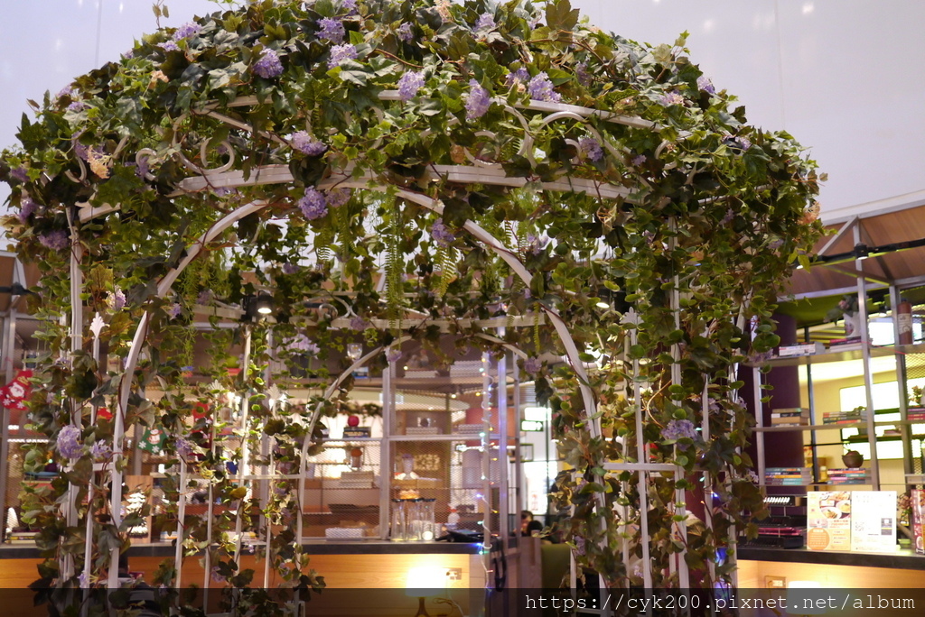 '20 12 25 _15 洋朵義式廚坊 微風松高店.JPG '20 12 25 _15 洋朵義式廚坊 微風松高店.JPG