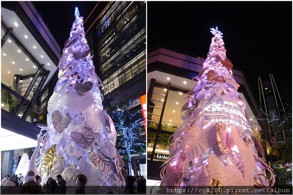 信義區夜景 聖誕 3.jpg