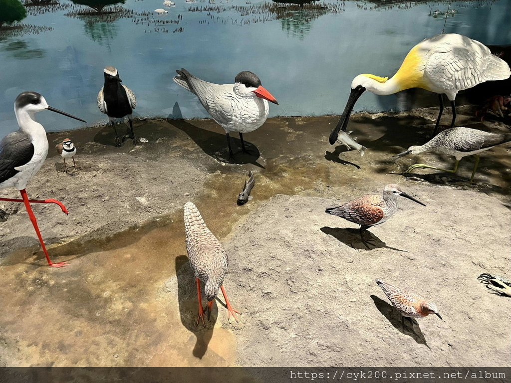 '21 11 06 _20 台江國家公園 遊客中心暨行政中心園區 (台江學園水上屋).jpg '21 11 06 _20 台江國家公園 遊客中心暨行政中心園區 (台江學園水上屋).jpg