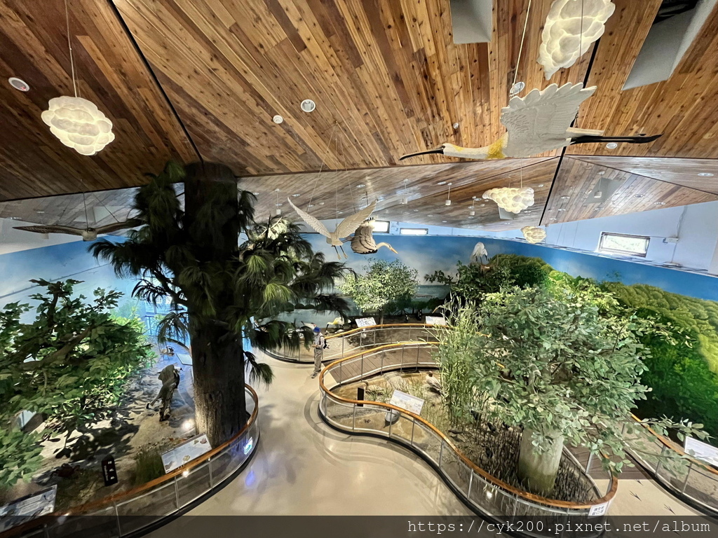 '21 11 06 _23 台江國家公園 遊客中心暨行政中心園區 (台江學園水上屋).jpg '21 11 06 _23 台江國家公園 遊客中心暨行政中心園區 (台江學園水上屋).jpg