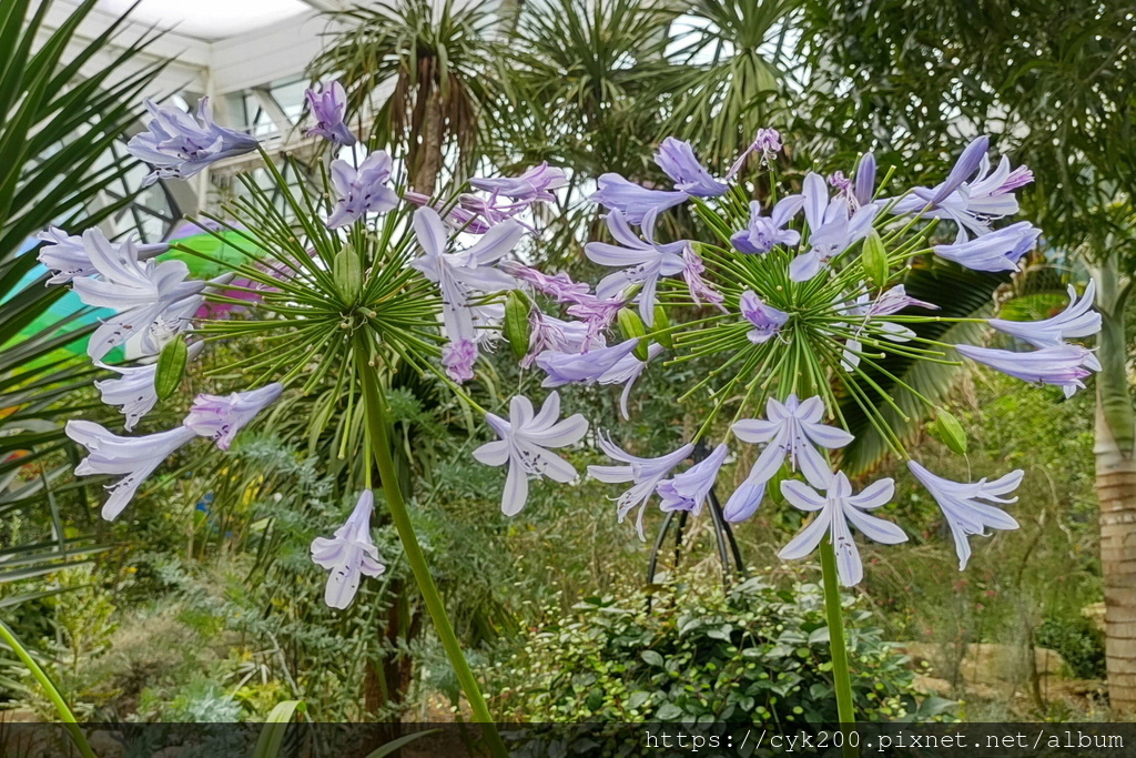 '23 04 26 _031 Seoul Botanic Park 首爾植物園.JPG