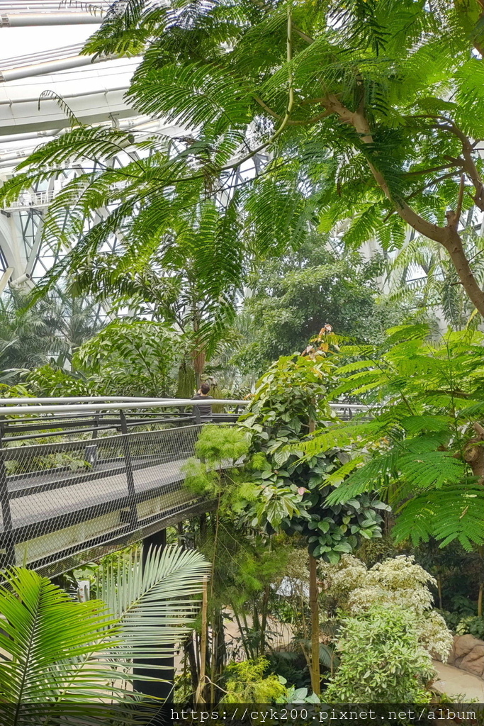 '23 04 26 _042 Seoul Botanic Park 首爾植物園 Skywalk 天空步道.JPG