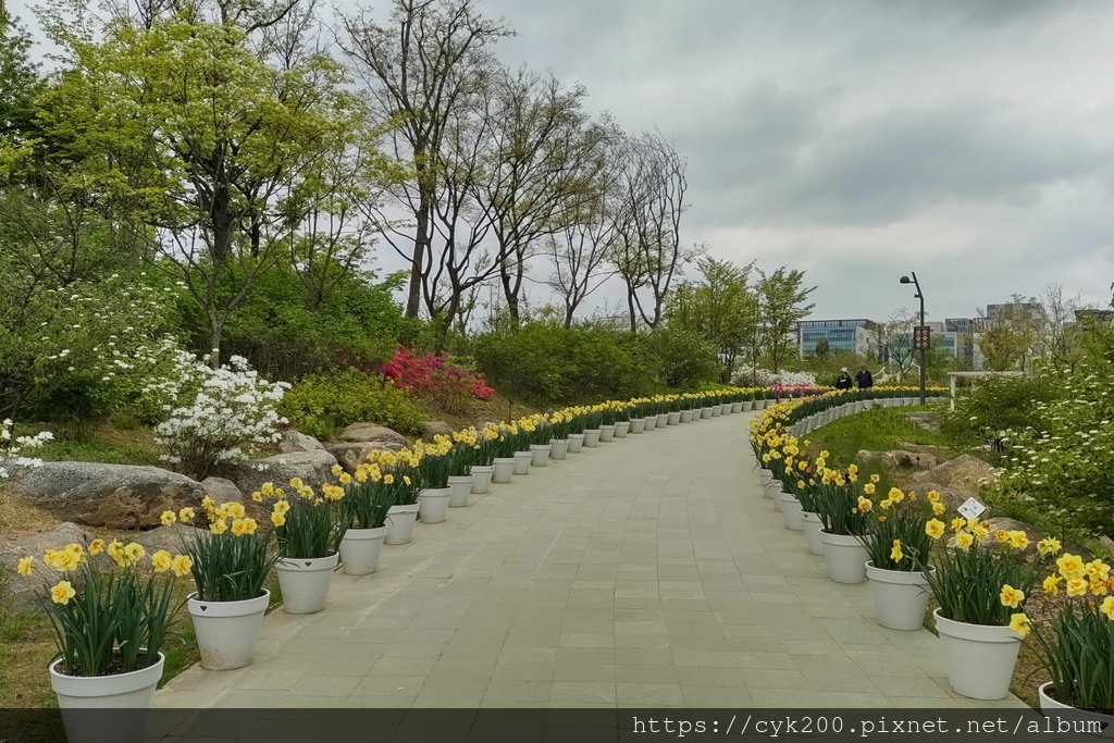 '23 04 26 _046 Seoul Botanic Park 首爾植物園.JPG