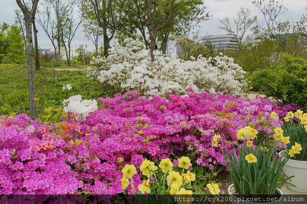 '23 04 26 _047 Seoul Botanic Park 首爾植物園.JPG