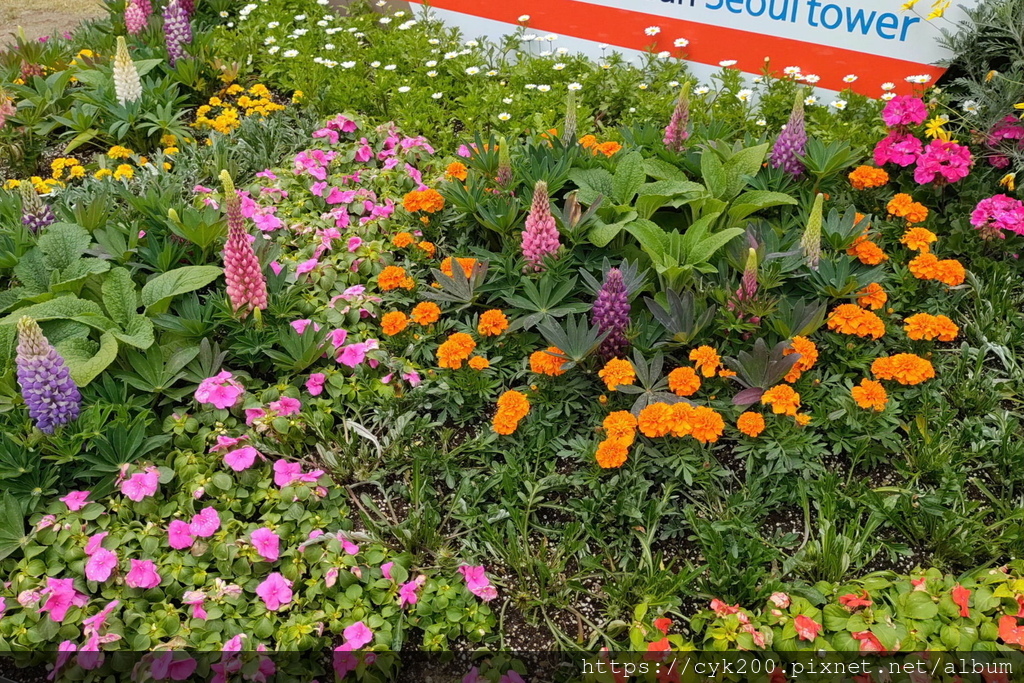 '23 04 26 _067 Seoul Botanic Park 首爾植物園.JPG