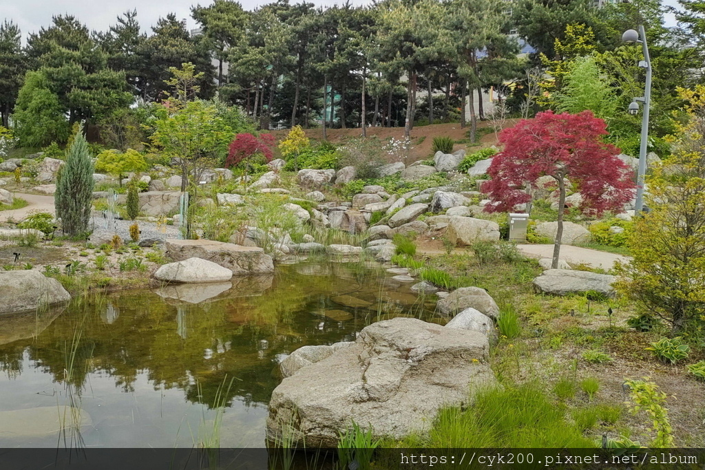 '23 04 26 _080 Seoul Botanic Park 首爾植物園.JPG