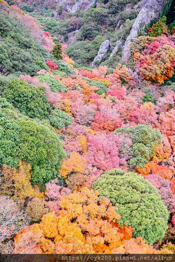 '23 11 27 _113 小豆島 寒霞溪纜車 山頂站-紅雲站.JPG