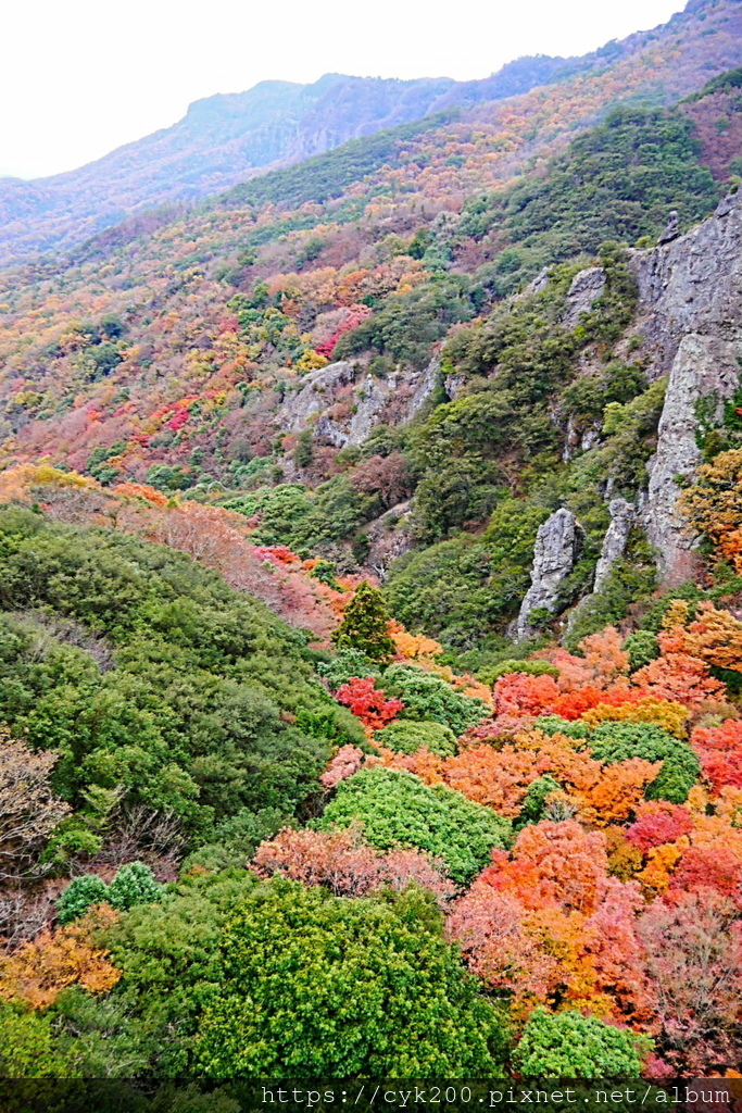 '23 11 27 _114 小豆島 寒霞溪纜車 山頂站-紅雲站.JPG