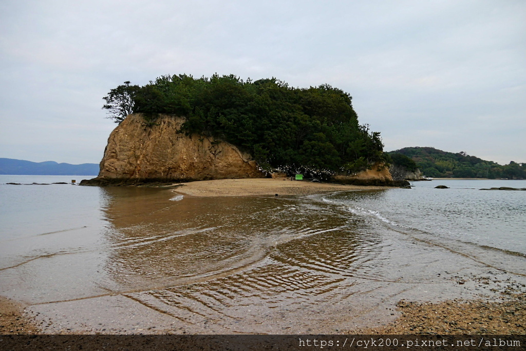 '23 11 27 _136 小豆島 天使之路.JPG