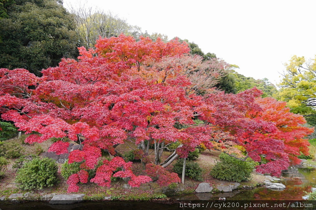 '23 11 30 _124 栗林公園 北庭.JPG