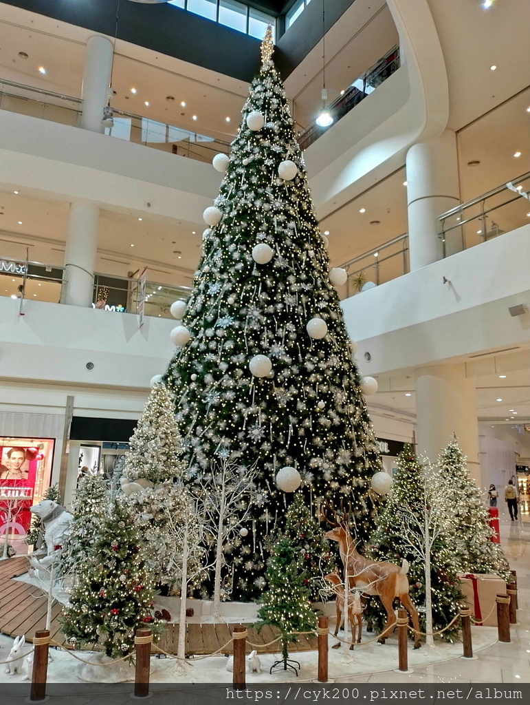 '23 11 16 _115 SKM Park Outlets 聖誕樹.jpg '23 11 16 _115 SKM Park Outlets 聖誕樹.jpg