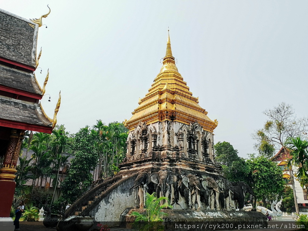 '24 03 18 _024 Wat Chiang Man 清曼寺.jpg