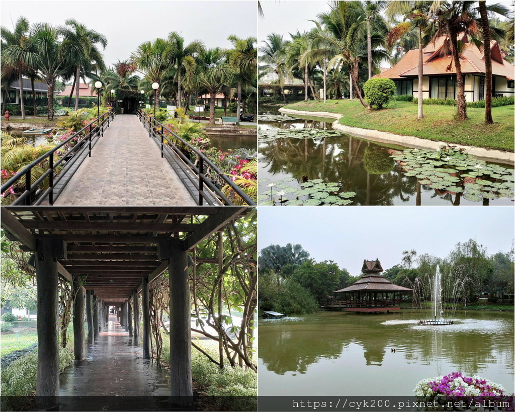2024 11 Horizon Village & Resort 從Horizon 3走去Thong Goaw Restaurant吃早餐.jpg