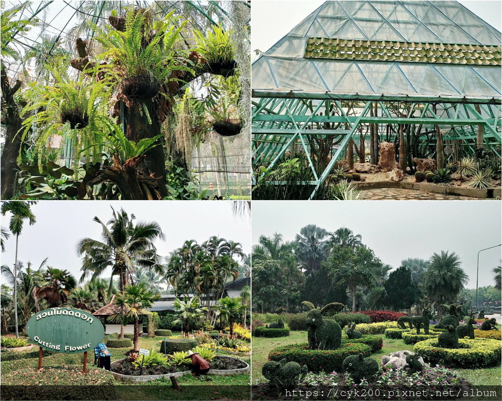 2024 15 Horizon Village & Resort Center Point Dome1+Cactus & Succulent Garden.jpg