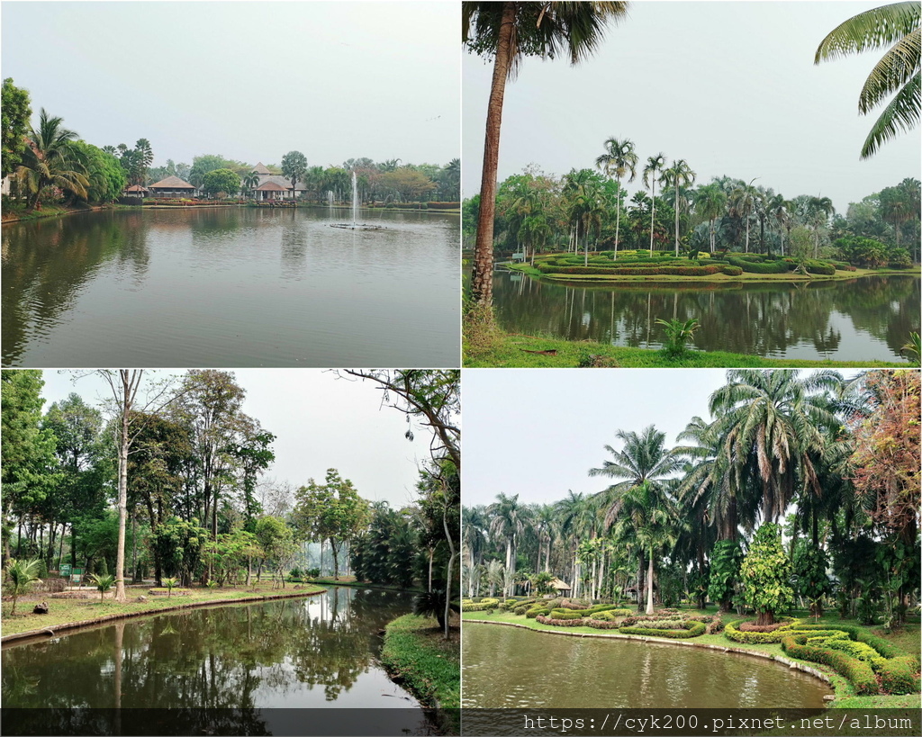 2024 16 Horizon Village & Resort 從Center Point看Palm Garden.jpg