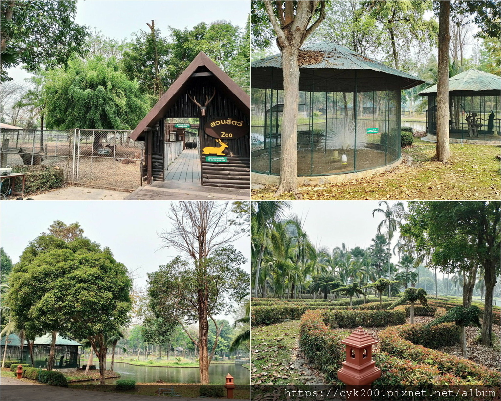 2024 17 Horizon Village & Resort Petting Zoo.jpg