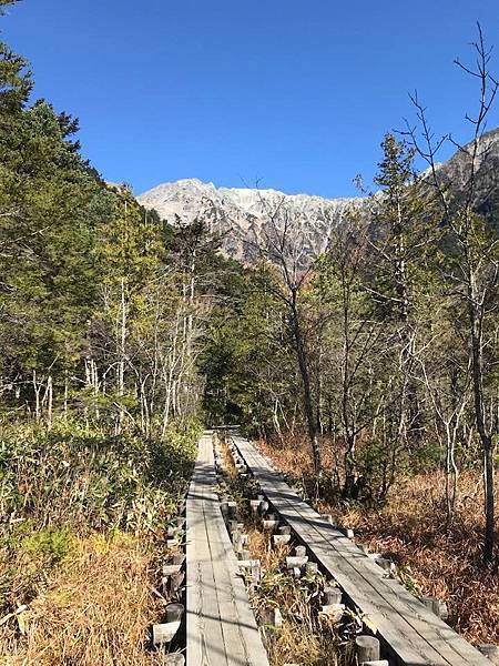 【岐阜】名古屋x高山x上高地 四天三夜也可以很悠閒