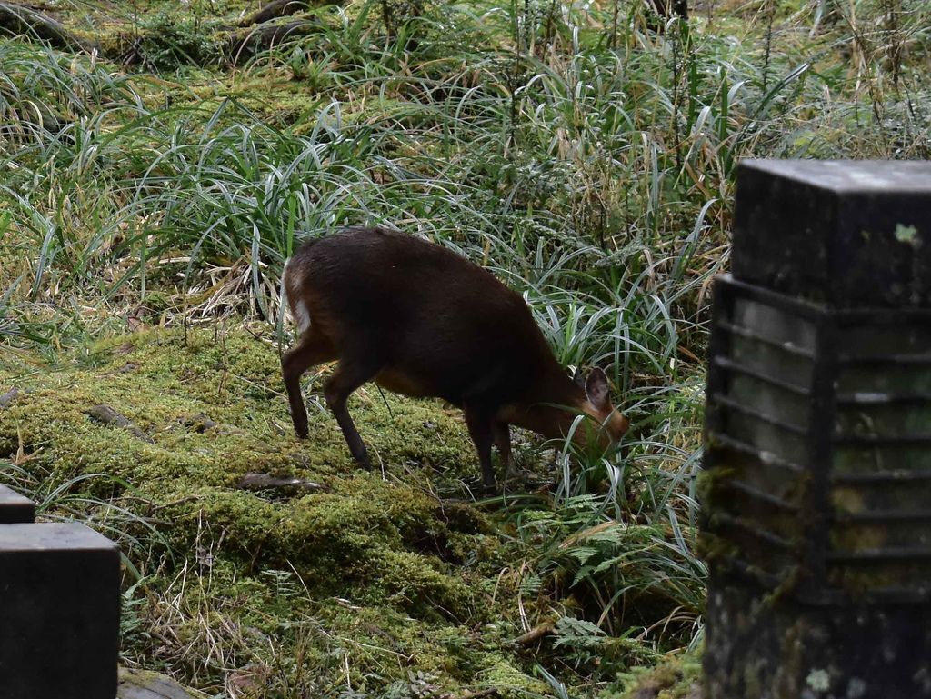 DSC_0176.jpg DSC_0176.jpg
