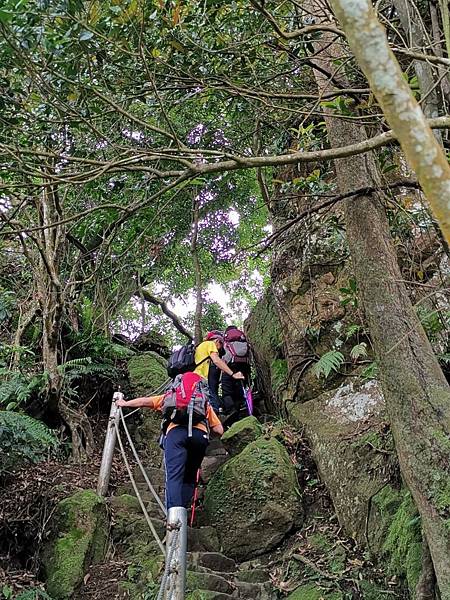 190504天上山 170408雲森瀑布_190504_0086.jpg