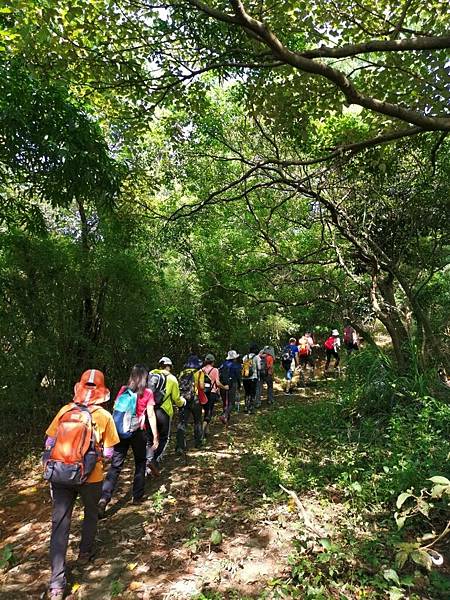 20190615虎頭山鳶山170610_190615_0024.jpg