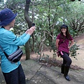 20201017 碧龍宮鶯歌石_201017_1_0.jpg