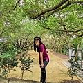 20201017 碧龍宮鶯歌石_201017_13.jpg