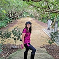 20201017 碧龍宮鶯歌石_201017_15.jpg