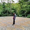 20201017 碧龍宮鶯歌石_201017_24.jpg