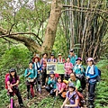 20201017 碧龍宮鶯歌石_201017_17.jpg