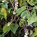 DSC_0014.jpg