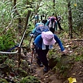 DSC_0026.jpg