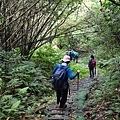 DSC_0056.jpg