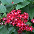 DSC_0064.jpg