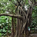 DSC_0066.jpg