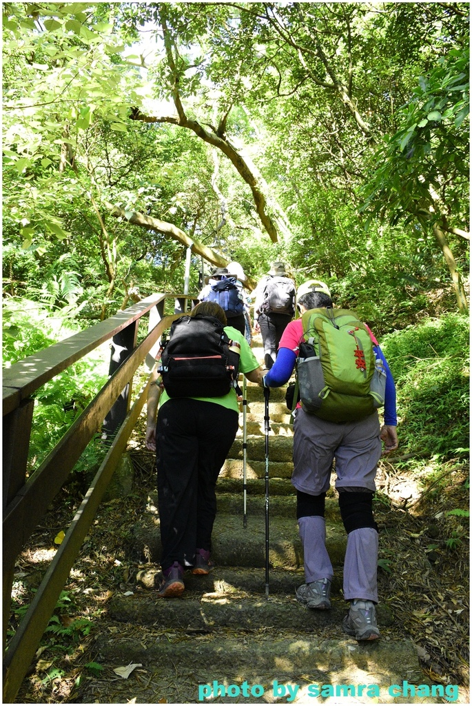 碧龍宮→牛灶坑山→百年大榕樹小O型20230923