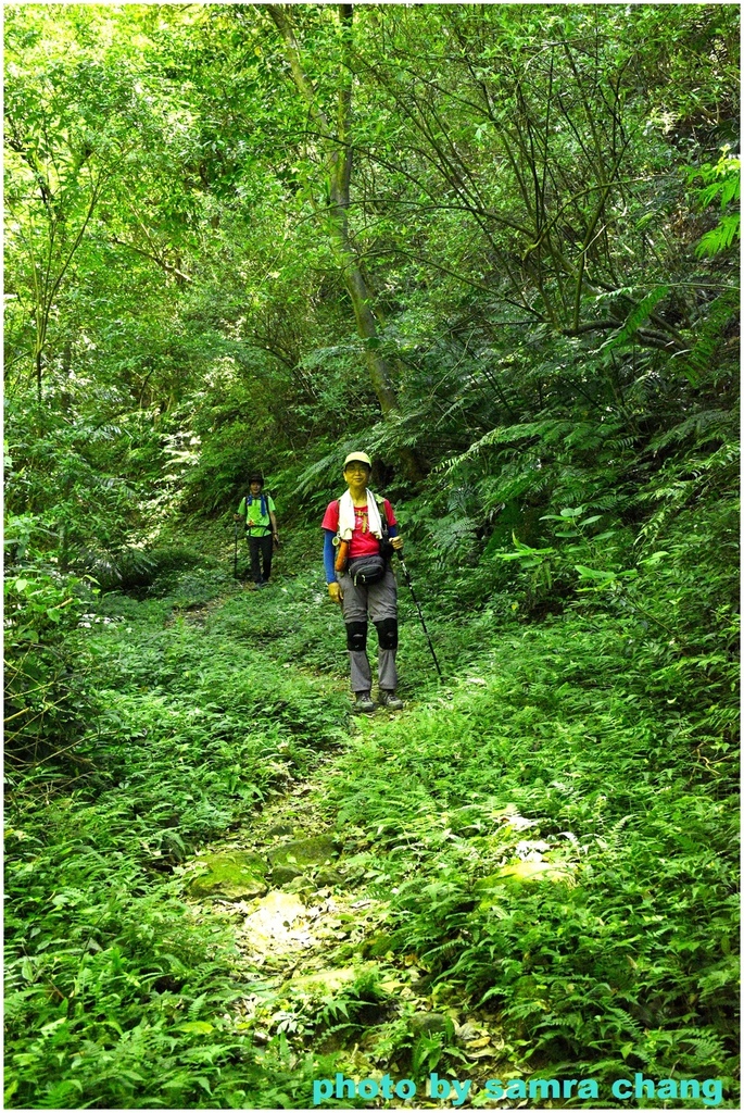 碧龍宮→牛灶坑山→百年大榕樹小O型20230923